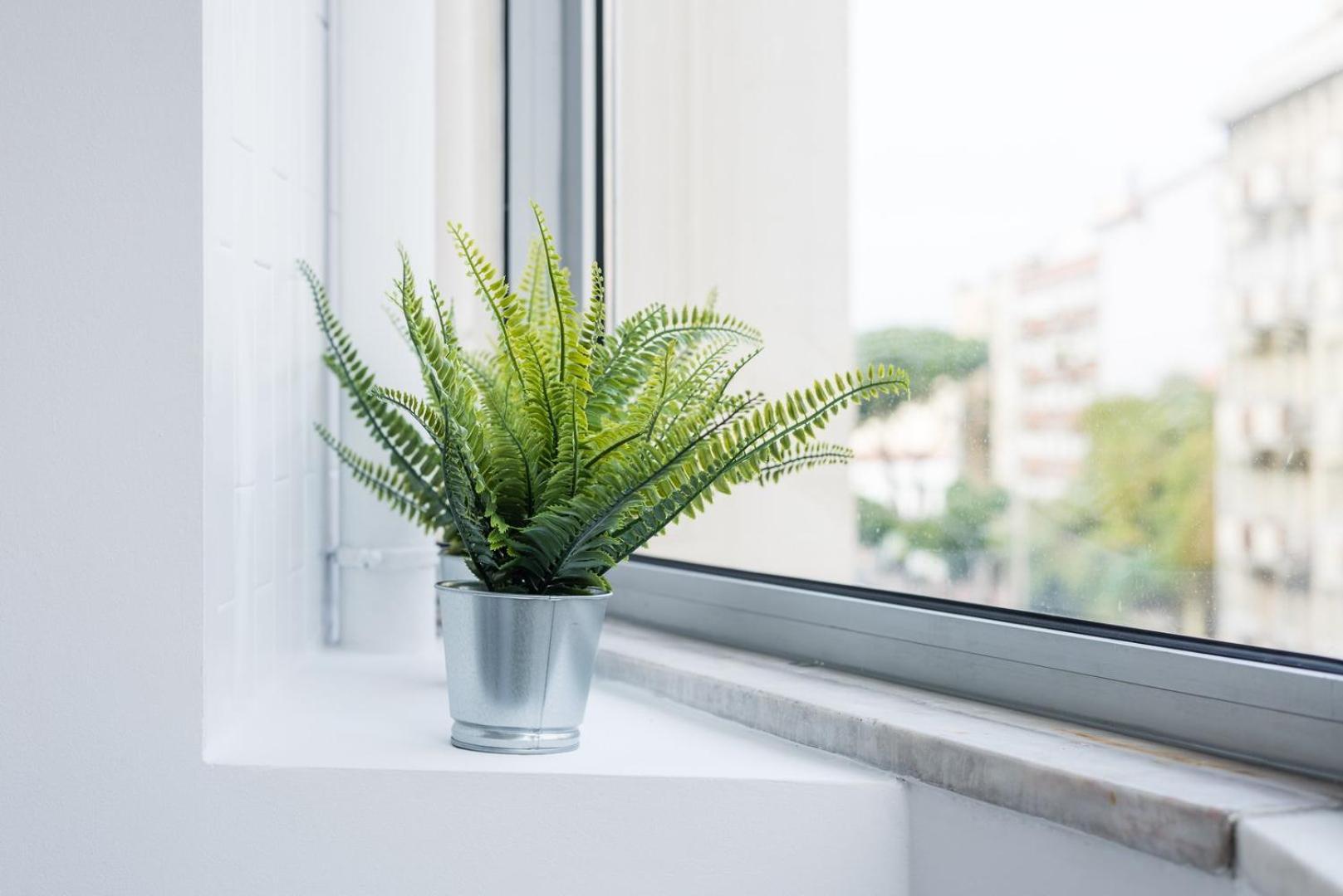 Guestready - Music Flats 2 Apartment Porto